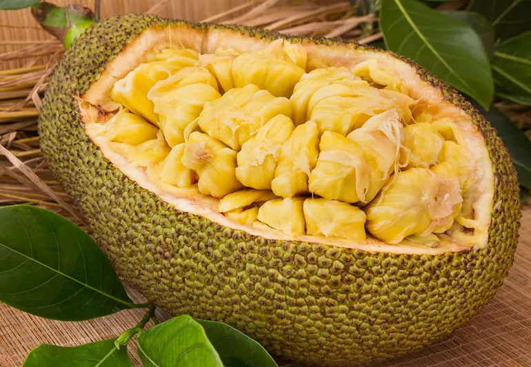 Raw Jackfruit